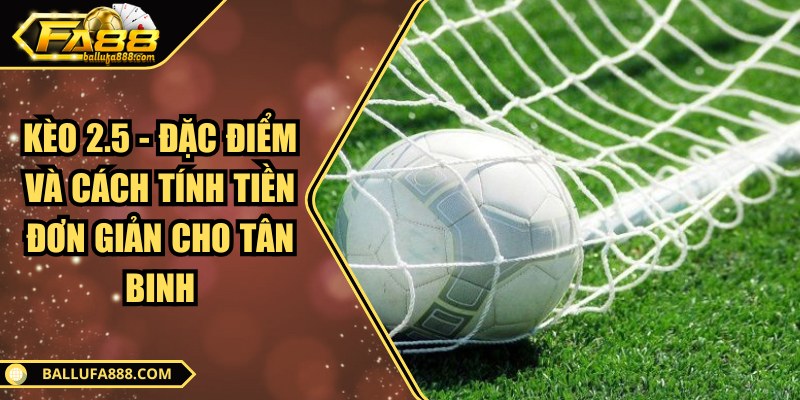 Kèo 2.5 - Đặc điểm và cách tính tiền đơn giản cho tân binh