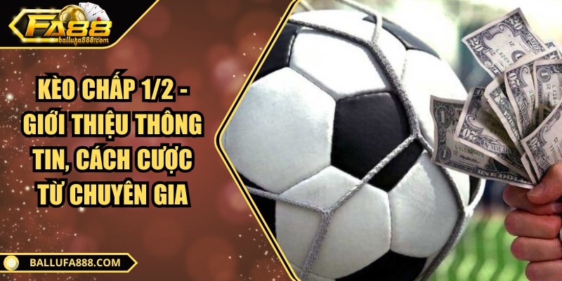 Kèo chấp 1/2 - Giới thiệu thông tin, cách cược từ chuyên gia